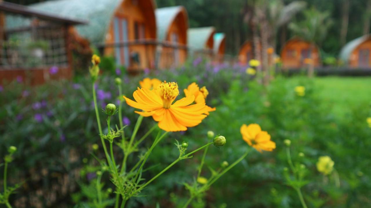 Chay Lap Farmstay Bo Trach Luaran gambar